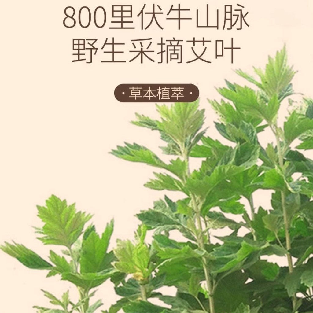 5 Pairs对/box盒 白云山草本艾草生姜竹炭足贴  Wormwood Ginger Bamboo Charcoal Detox Foot Patch 10 patches 袪湿气足部护理暖贴生姜竹醋睡眠足贴