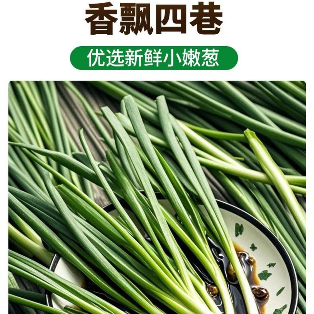 285g 老上海味葱油拌面酱 Scallion Noodle Sauce Scallion Oil Sauce 超香炸葱 调料酱 拌面炒菜