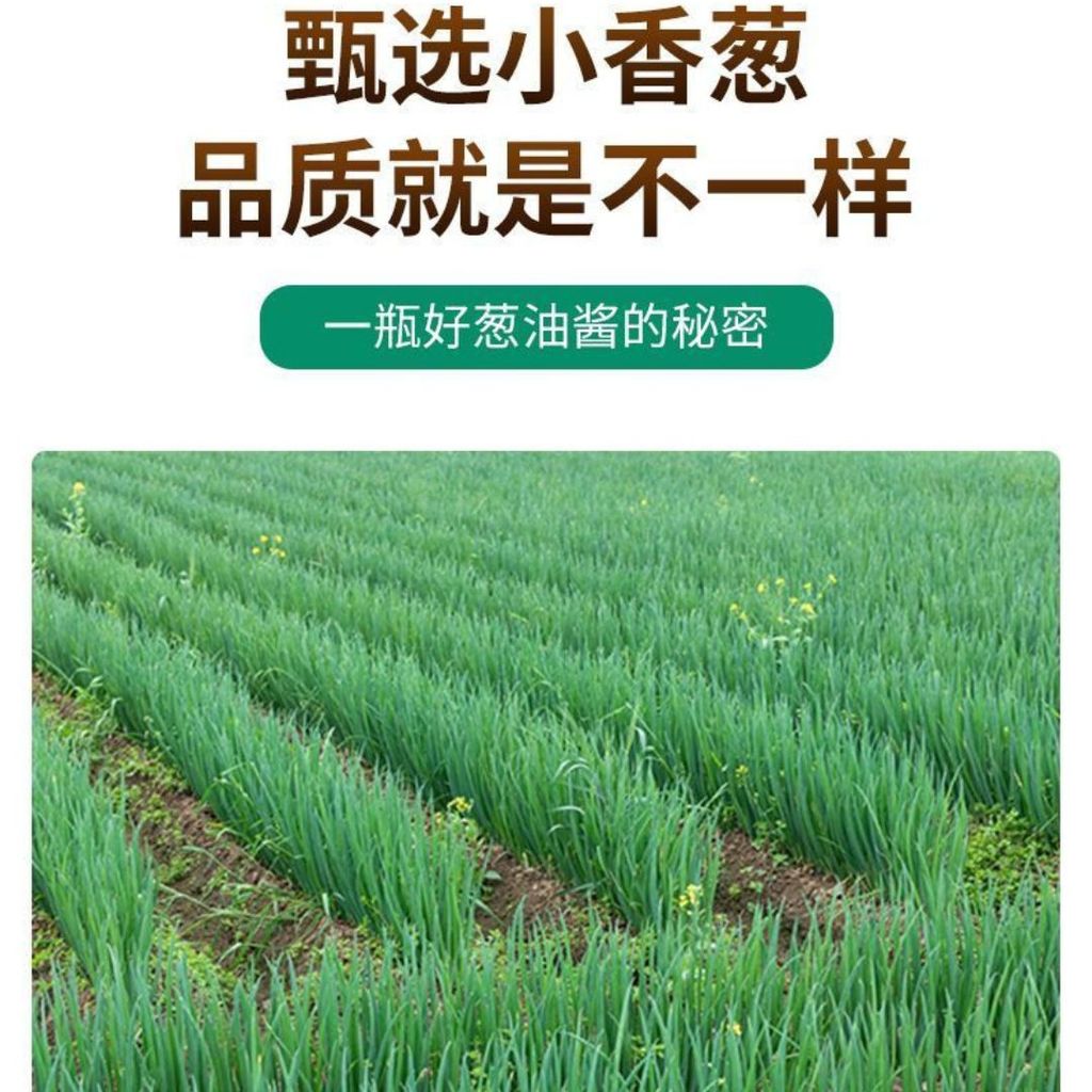 285g 老上海味葱油拌面酱 Scallion Noodle Sauce Scallion Oil Sauce 超香炸葱 调料酱 拌面炒菜